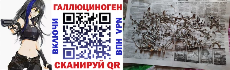 Галлюциногенные грибы GOLDEN TEACHER  магазин продажи   Берёзовка 